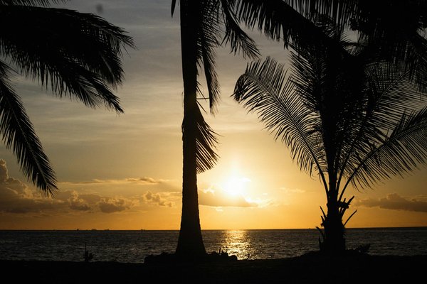 Cafés à Paris : une tradition culturelle