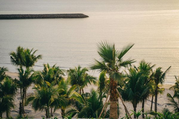 Explorer l'Antarctique en mini croisière