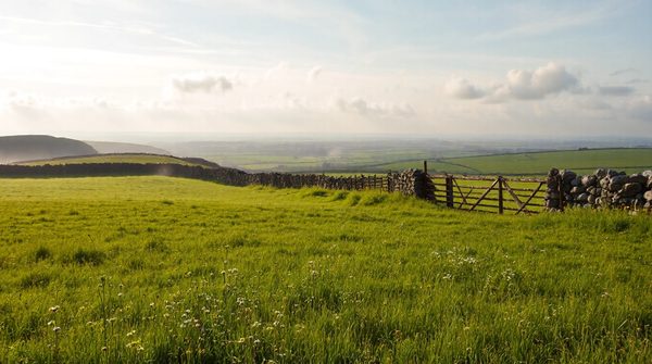 Découvrez l'irlande : 10 secrets pour un séjour mémorable